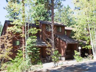 Brown wooden lodge nestled among tall pine trees, with a stairway leading to its entrance.